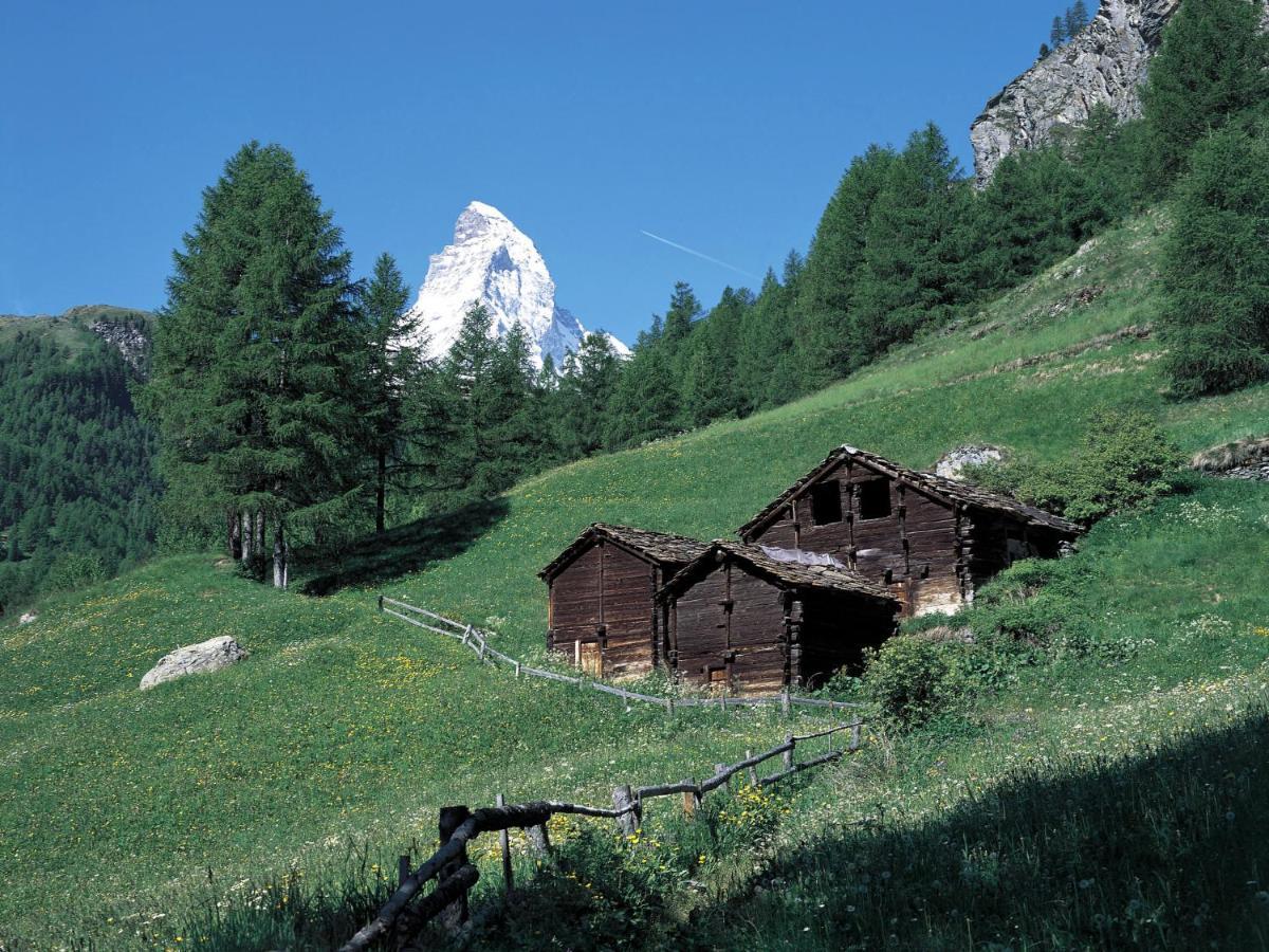Apartment Oasis By Interhome Zermatt Luaran gambar